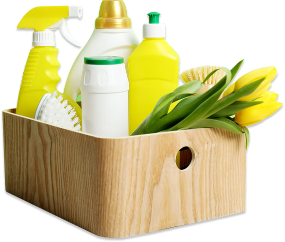 creating a healthier home